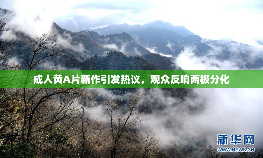 成人黄A片新作引发热议，观众反响两极分化