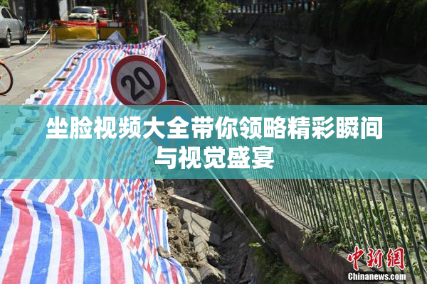 坐脸视频大全带你领略精彩瞬间与视觉盛宴