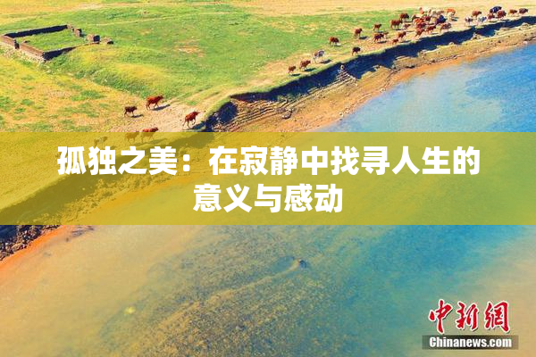 孤独之美：在寂静中找寻人生的意义与感动