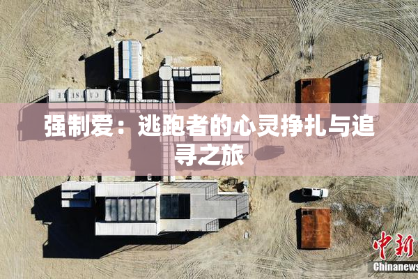 强制爱：逃跑者的心灵挣扎与追寻之旅