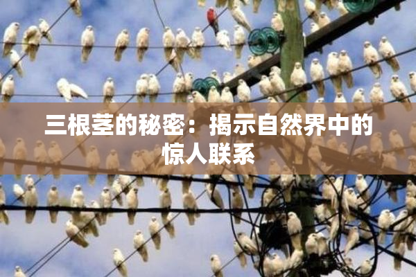 三根茎的秘密：揭示自然界中的惊人联系