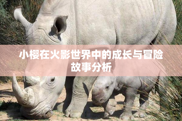 小樱在火影世界中的成长与冒险故事分析