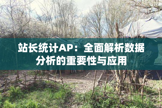 站长统计AP：全面解析数据分析的重要性与应用