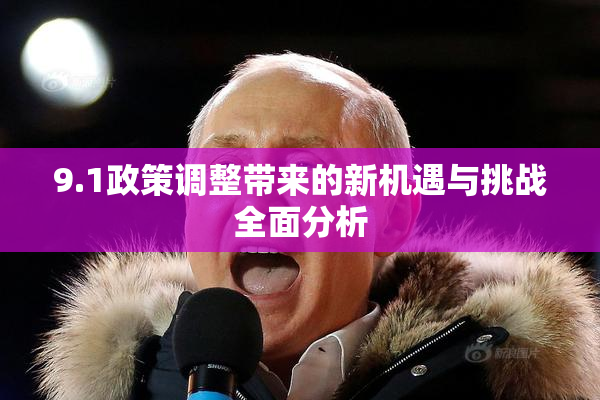 9.1政策调整带来的新机遇与挑战全面分析