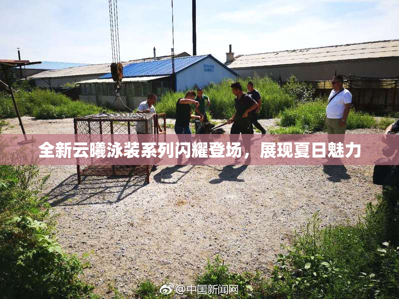 全新云曦泳装系列闪耀登场，展现夏日魅力