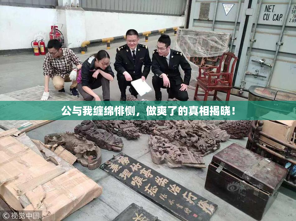 公与我缠绵悱恻，做爽了的真相揭晓！