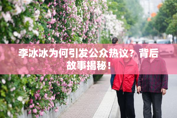 李冰冰为何引发公众热议？背后故事揭秘！