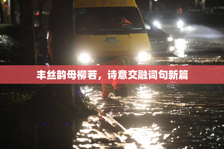 丰丝韵母柳若，诗意交融词句新篇