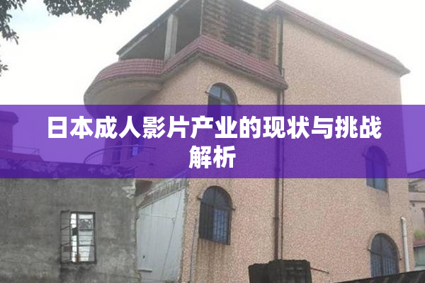 日本成人影片产业的现状与挑战解析