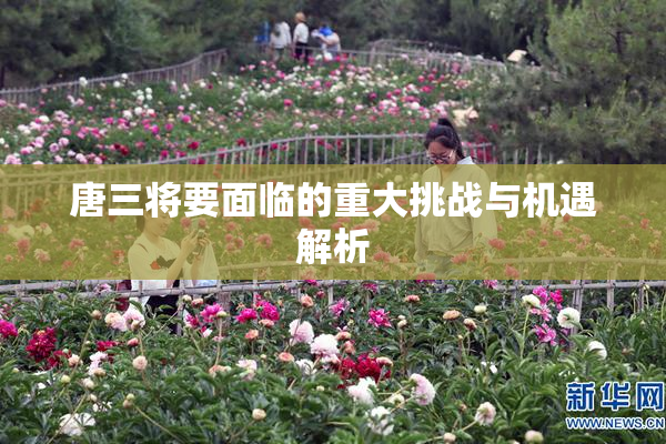 唐三将要面临的重大挑战与机遇解析
