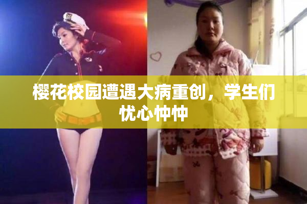 樱花校园遭遇大病重创，学生们忧心忡忡