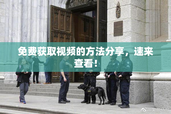 免费获取视频的方法分享，速来查看！