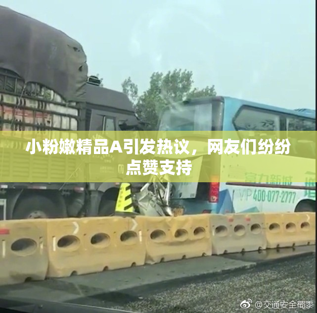 小粉嫩精品A引发热议，网友们纷纷点赞支持