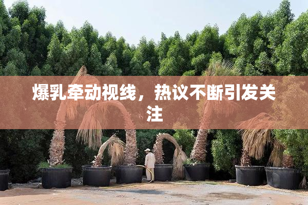 爆乳牵动视线，热议不断引发关注