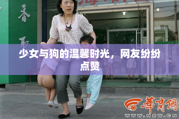 少女与狗的温馨时光，网友纷纷点赞
