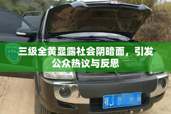 三级全黄显露社会阴暗面，引发公众热议与反思