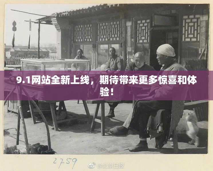 9.1网站全新上线，期待带来更多惊喜和体验！