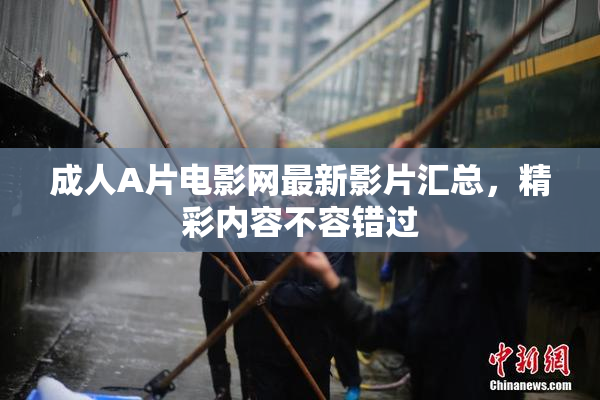 成人A片电影网最新影片汇总，精彩内容不容错过