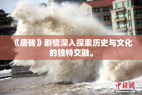 《唐砖》剧情深入探索历史与文化的独特交融。