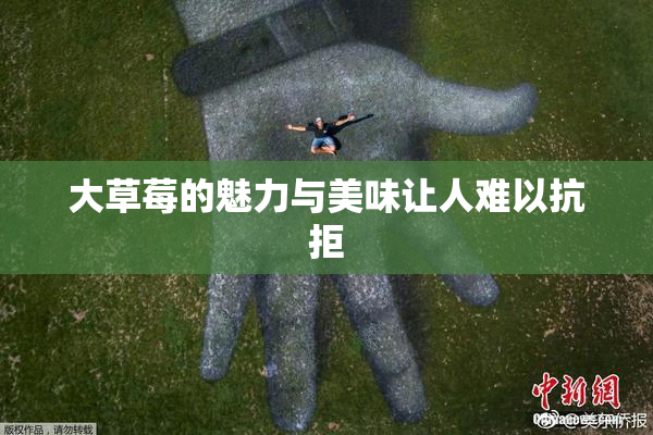 大草莓的魅力与美味让人难以抗拒