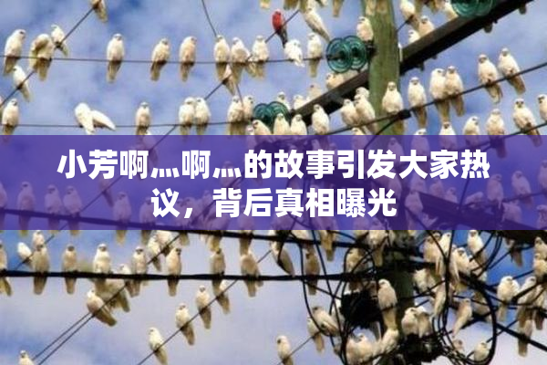 小芳啊灬啊灬的故事引发大家热议，背后真相曝光