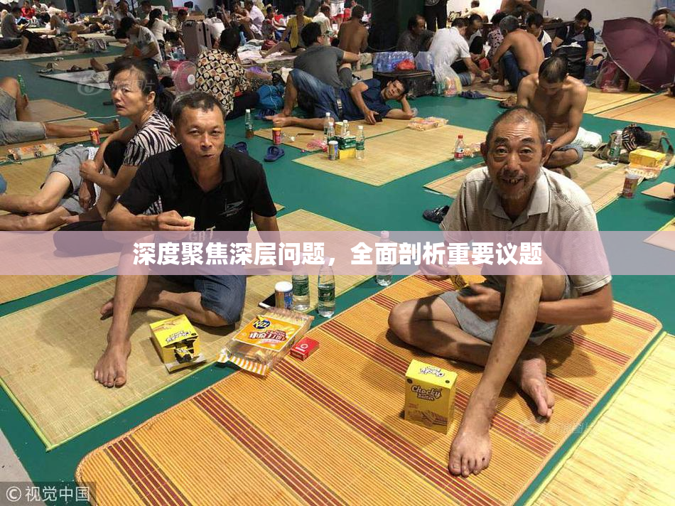 深度聚焦深层问题，全面剖析重要议题