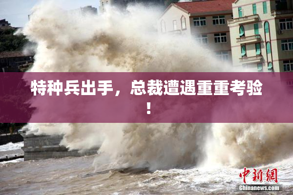 特种兵出手，总裁遭遇重重考验！