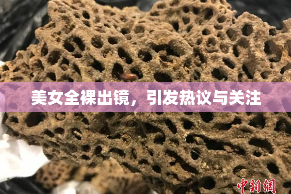 美女全裸出镜，引发热议与关注