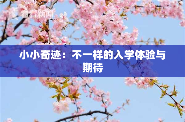 小小奇迹：不一样的入学体验与期待