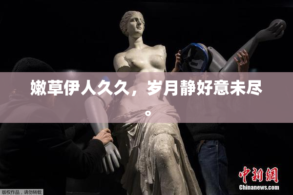 嫩草伊人久久，岁月静好意未尽。