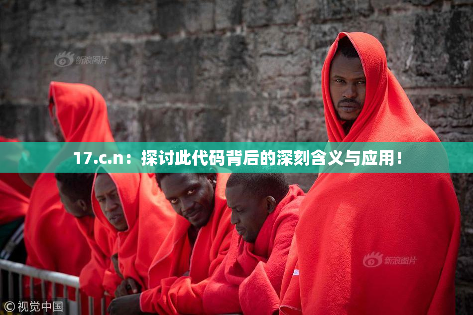 17.c.n：探讨此代码背后的深刻含义与应用！