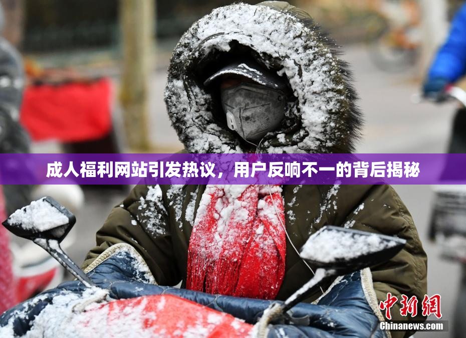 成人福利网站引发热议，用户反响不一的背后揭秘