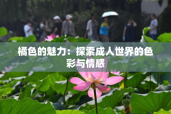 橘色的魅力：探索成人世界的色彩与情感