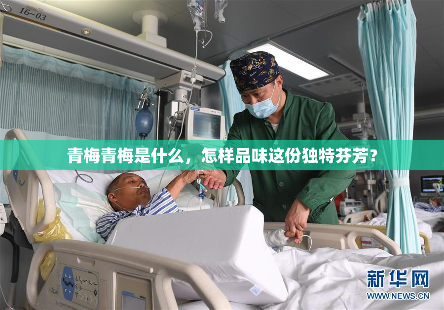 青梅青梅是什么，怎样品味这份独特芬芳？