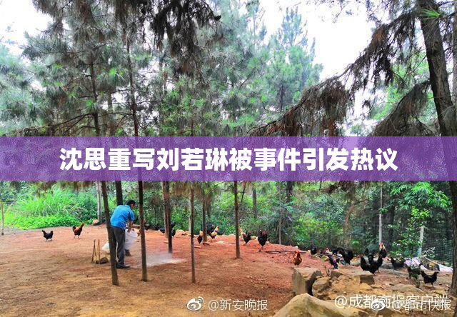 沈思重写刘若琳被事件引发热议