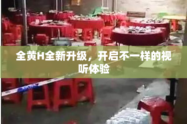 全黄H全新升级，开启不一样的视听体验