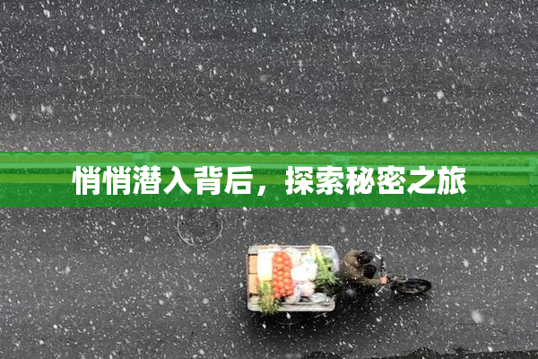 悄悄潜入背后，探索秘密之旅