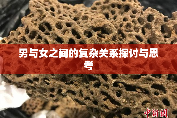 男与女之间的复杂关系探讨与思考