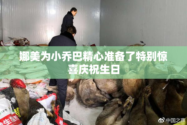 娜美为小乔巴精心准备了特别惊喜庆祝生日