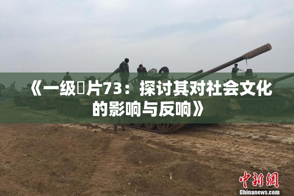 《一级婬片73：探讨其对社会文化的影响与反响》