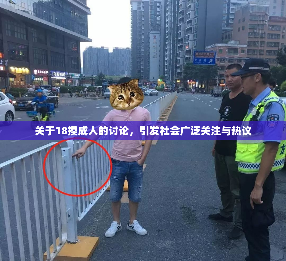 关于18摸成人的讨论，引发社会广泛关注与热议