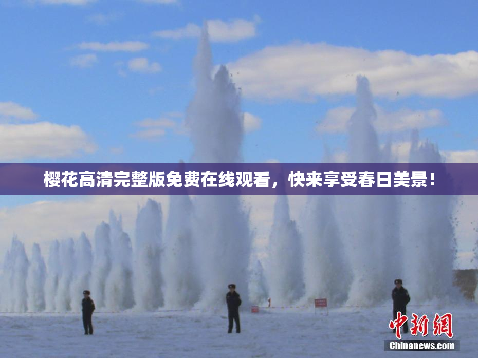 樱花高清完整版免费在线观看，快来享受春日美景！