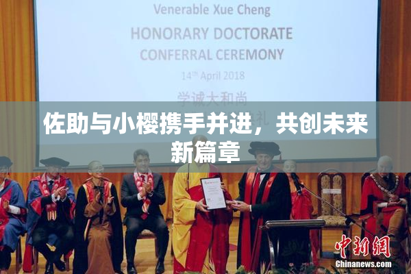 佐助与小樱携手并进，共创未来新篇章