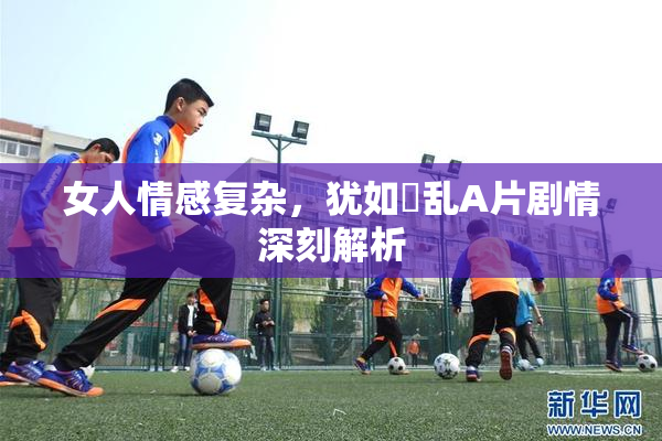 女人情感复杂，犹如婬乱A片剧情深刻解析