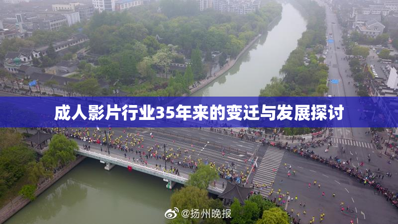 成人影片行业35年来的变迁与发展探讨