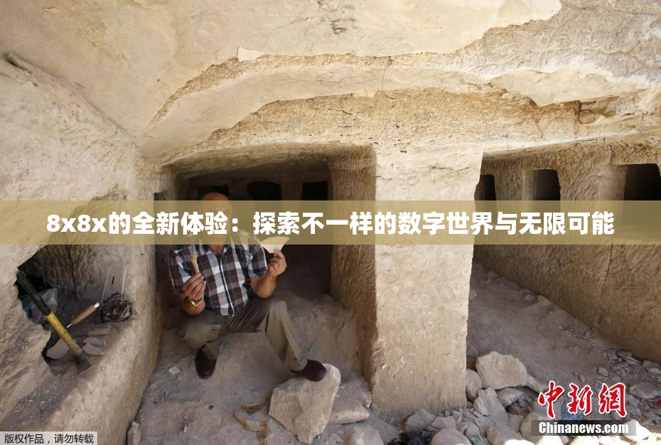 8x8x的全新体验：探索不一样的数字世界与无限可能