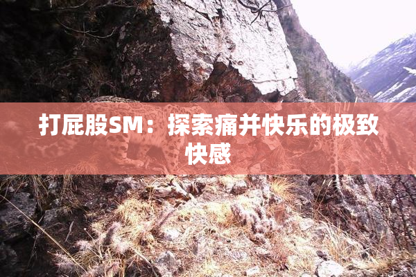 打屁股SM：探索痛并快乐的极致快感
