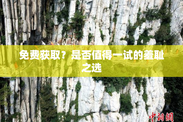 免费获取？是否值得一试的羞耻之选