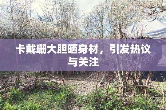 卡戴珊大胆晒身材，引发热议与关注