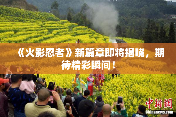 《火影忍者》新篇章即将揭晓，期待精彩瞬间！